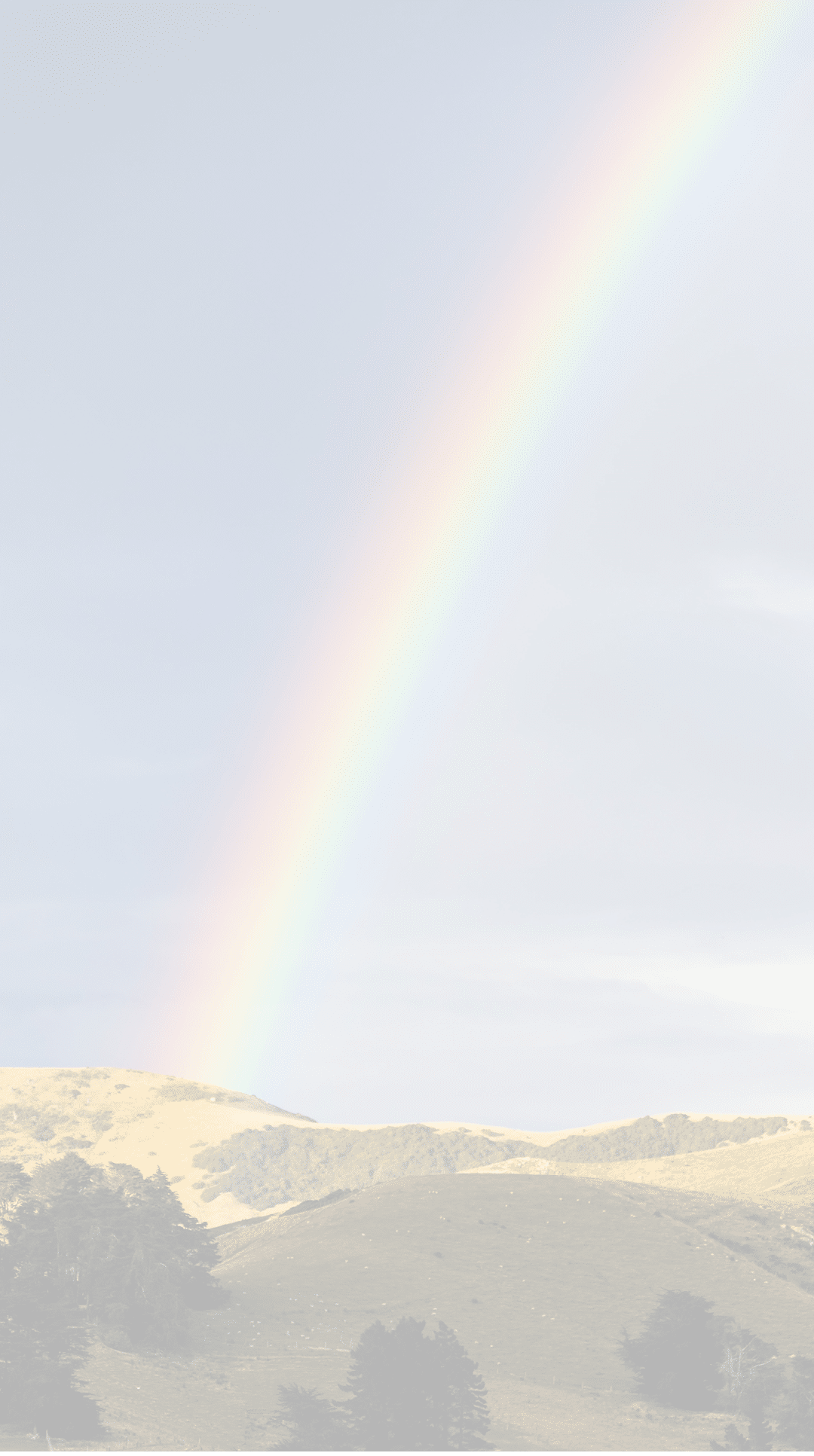 Rainbow over the Otago peninsular